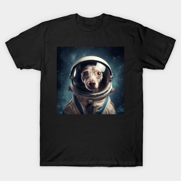 Astro Dog - American Hairless Terrier T-Shirt by Merchgard
